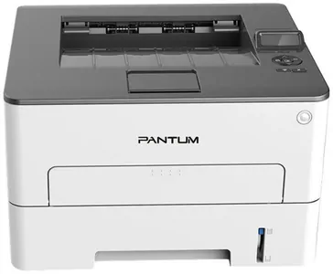 Замена прокладки на принтере Pantum P3300DW в Волгограде